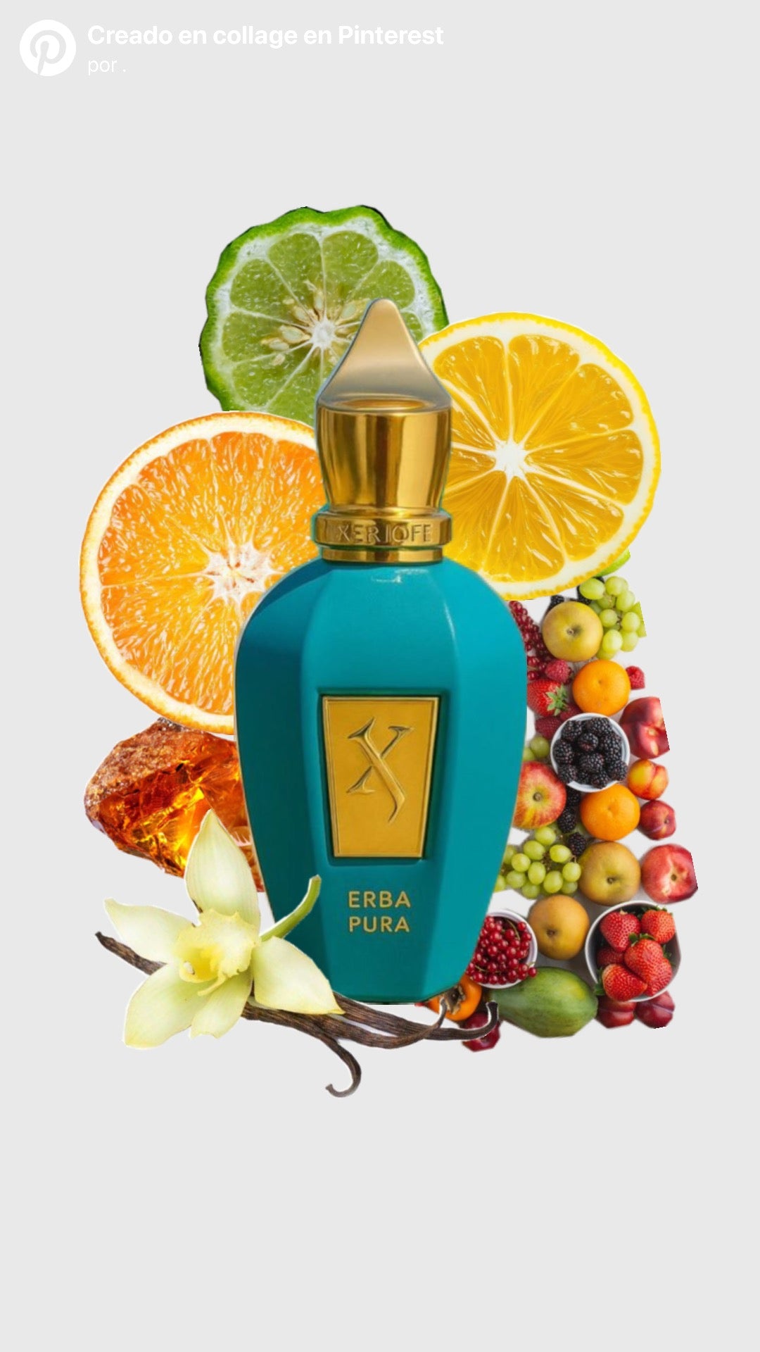 XERJOFF ERBA PURA EDP 100ML